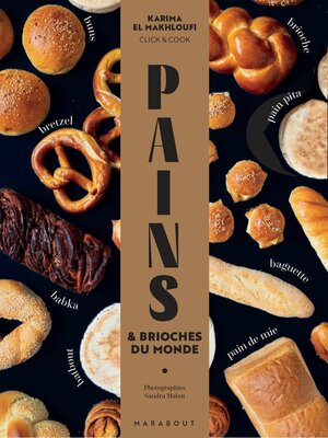 cover image of Pains